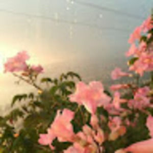 Meet your Posher, Gracie